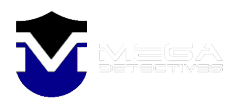 Megadetectives