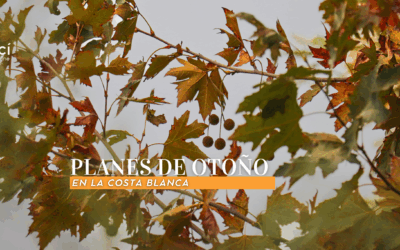 Planes de Otoño en la Costa Blanca