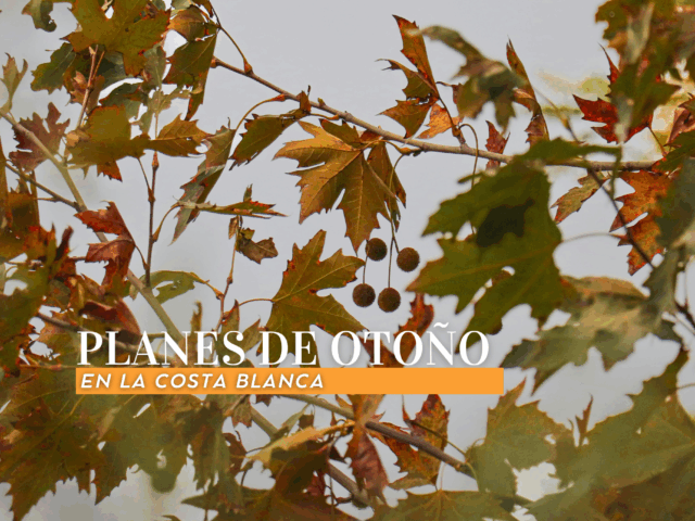 Planes de Otoño en la Costa Blanca