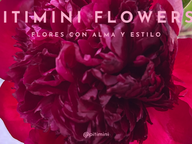Pitimini Flowers: las flores también son para un martes