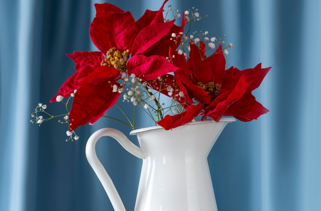 10 flores para decorar tu casa este invierno