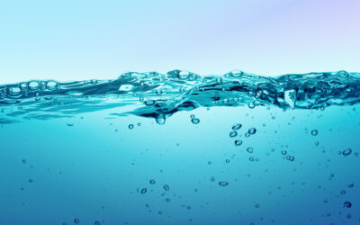 Naturquea, día mundial del agua