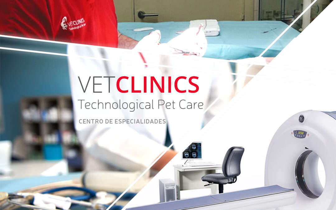 VetClinics, especialidades veterinarias