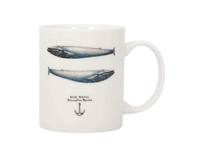 mug-ballenas-barcos-y-cosas