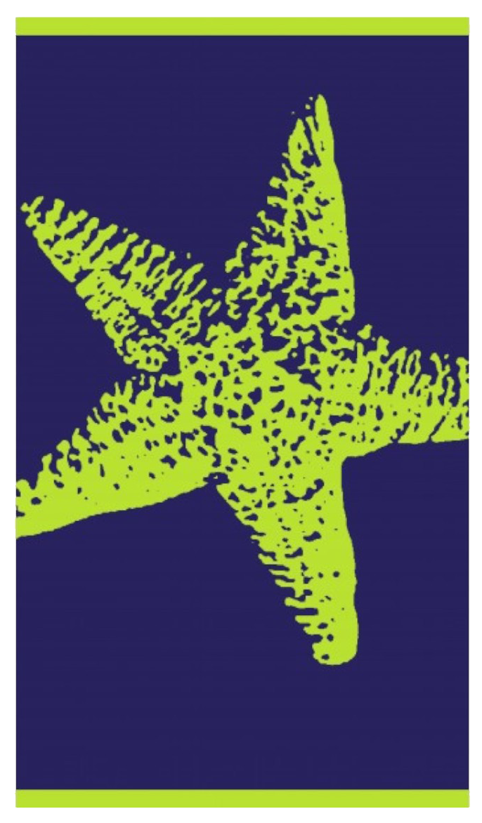 toalla-playa-deskarao-095x175cm-starfish