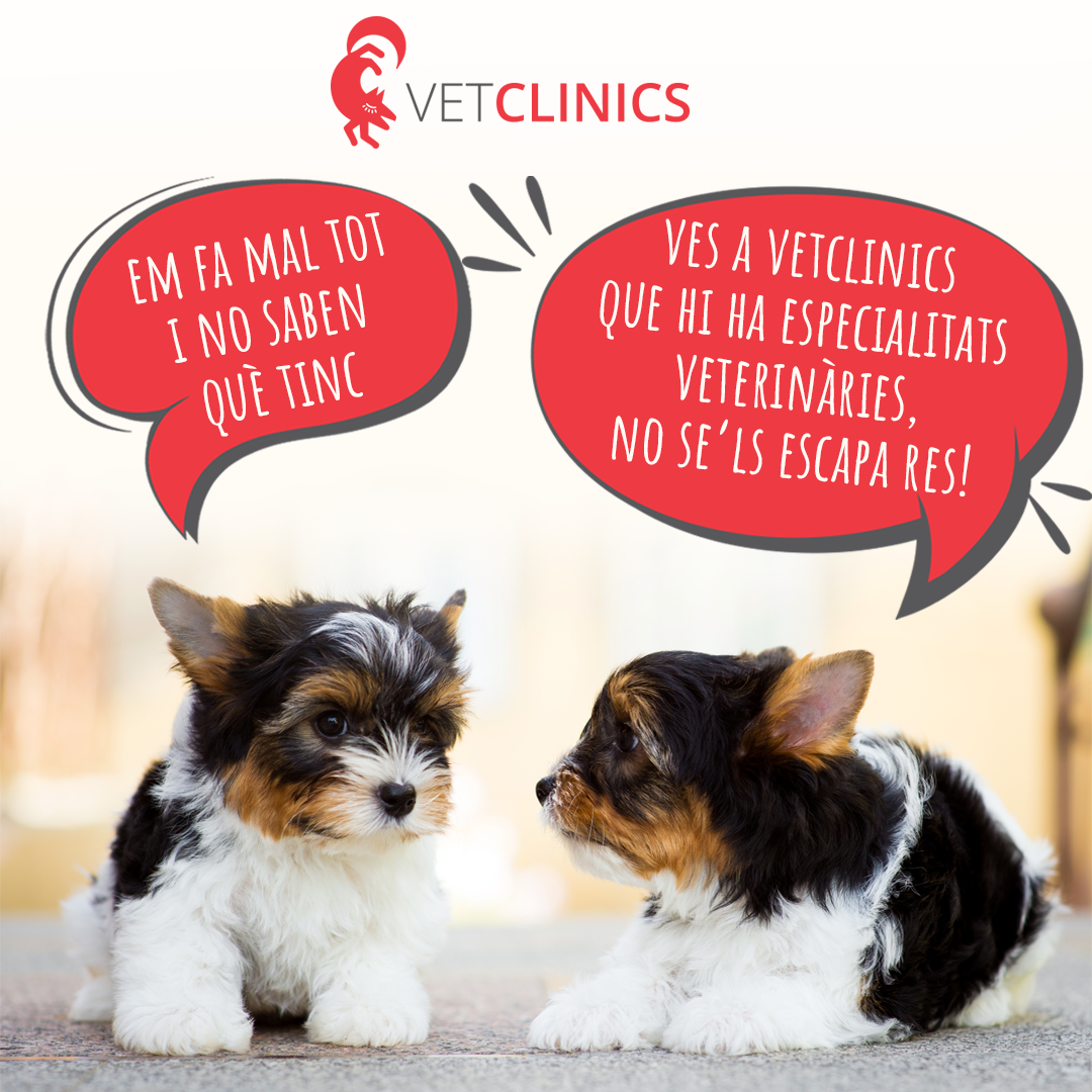 vetclinics especialidades veterinarias